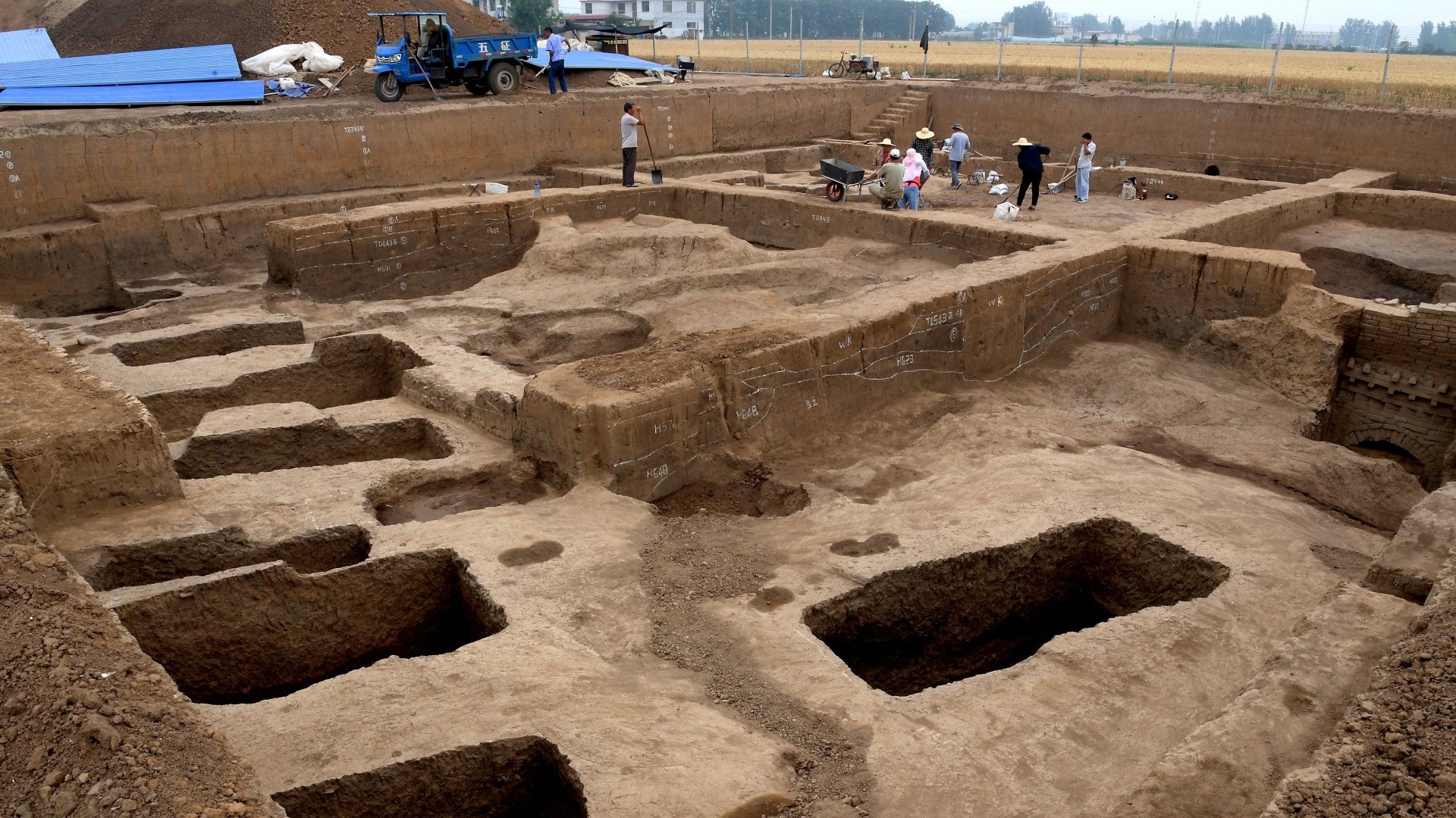 henan - Washington Morning henan