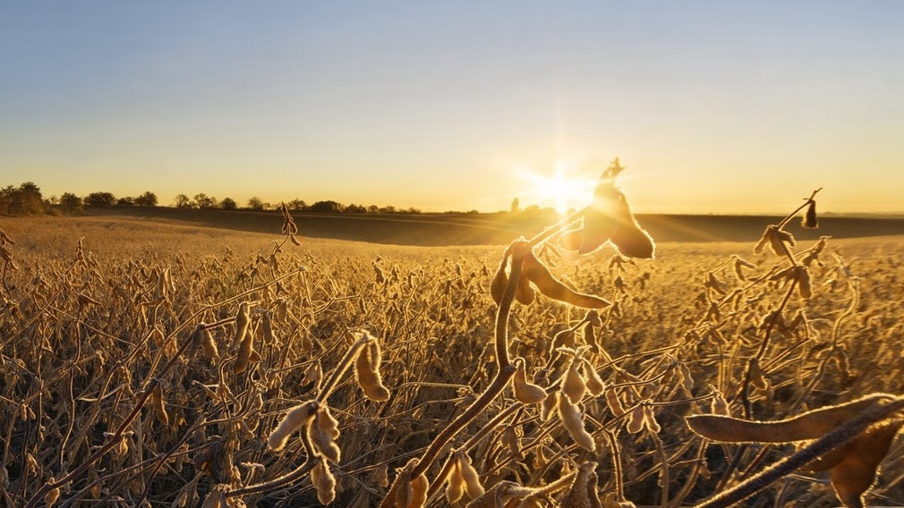 china us trade war - Washington Morning china us trade war