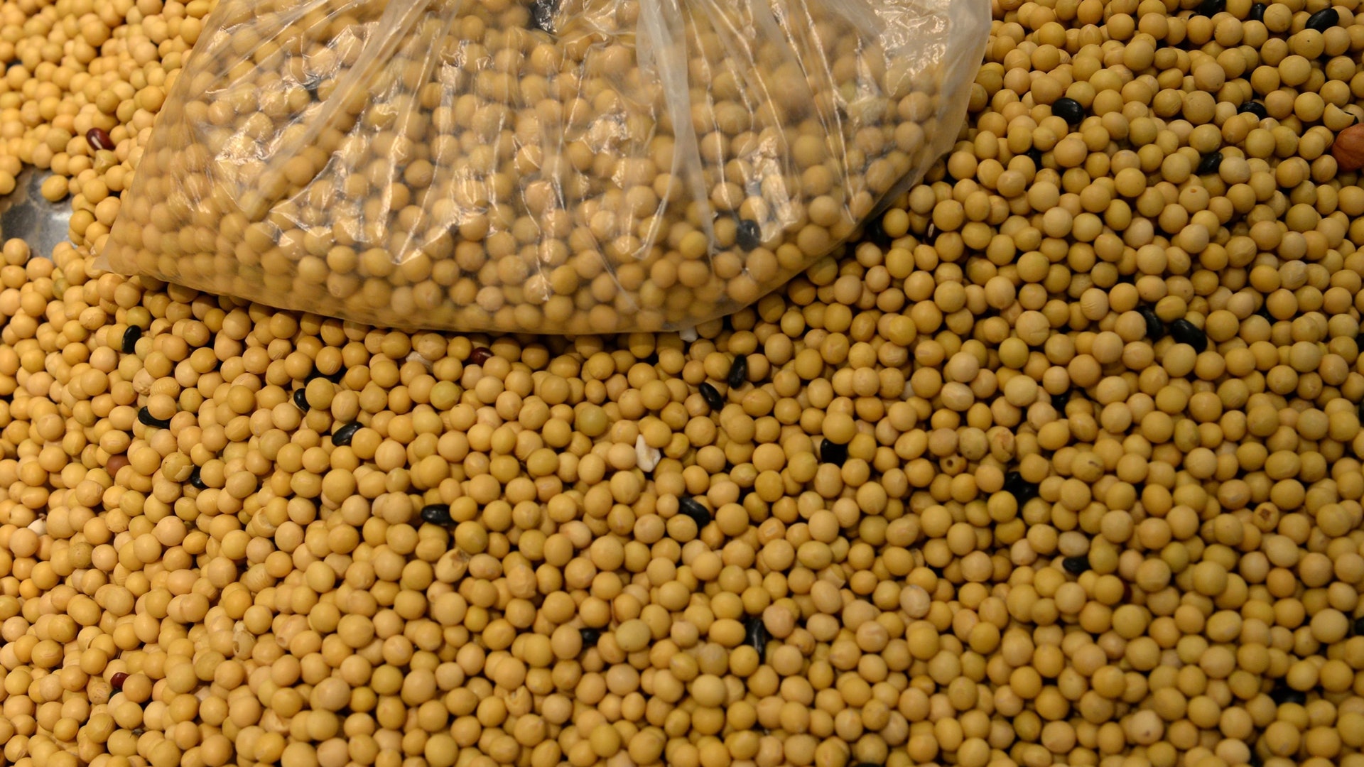 china US trade war - Washington Morning china US trade war