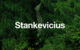 Stankevicius International Carbon Credit Trading - Washington Morning Stankevicius International Carbon Credit Trading